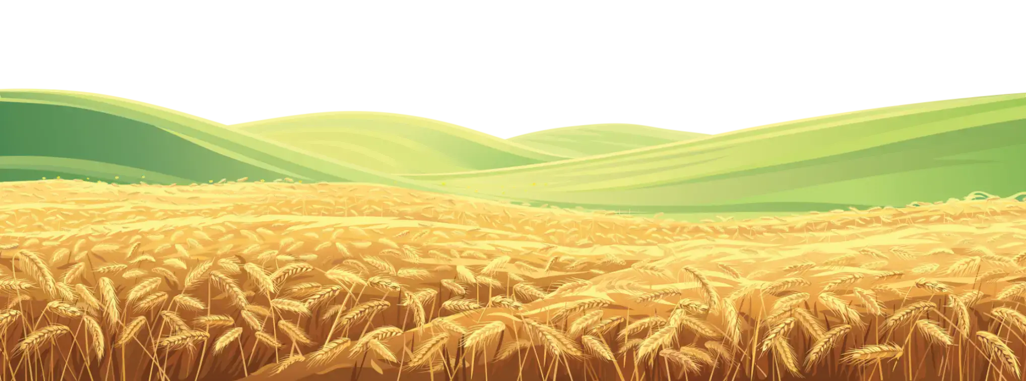 Oats